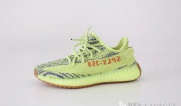 网红椰子爆料视频大全,揭秘幕后真相与热门话题